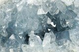 Sparkling Celestine (Celestite) Geode Section - Madagascar #364094-1